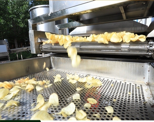 Processamento termico Macchina elettrica ad alta capacità per patatine fritte per la produzione personalizzata