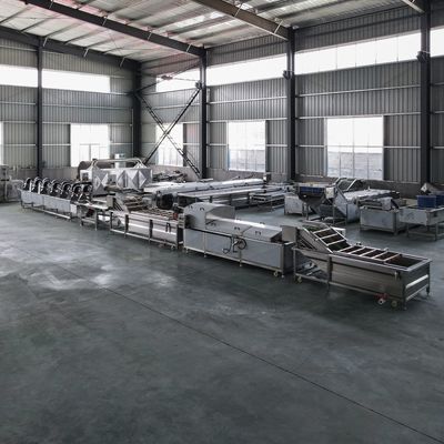 Macchine per la pulizia industriale di frutta e verdura personalizzabili per grandi dimensioni