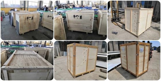 200kg Capacità Acciaio inossidabile Frigorifici Francesi Linea di produzione di patatine personalizzate