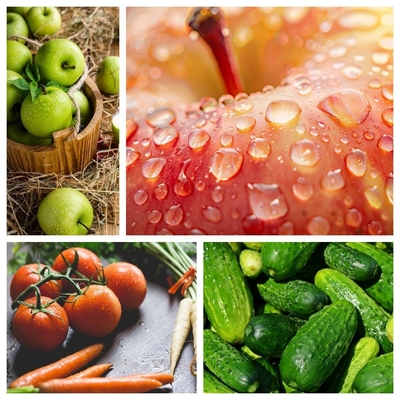 500 kg personalizzazione macchina per lavare frutta e verdura online