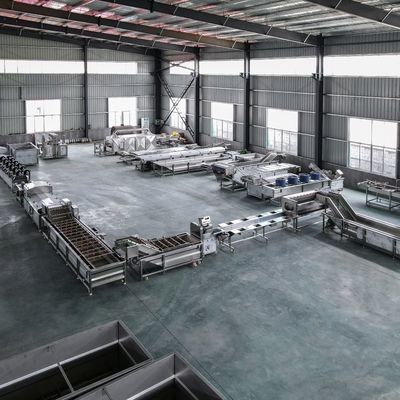 Macchine per la pulizia e spazzolamento di frutta e verdura