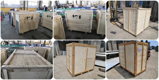 110V-380V tensione in acciaio inossidabile macchina di taglio di fette di carne per carne di pesce fresca