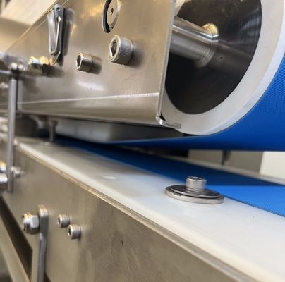 Trattamento termico Tagliatrice di carne e pesce in acciaio inossidabile per il taglio di fette