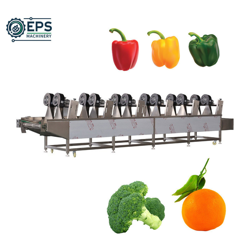 Macchina per l'essiccazione di frutta e verdura di capacità completamente automatica per l'essiccazione di carichi di 400 kg