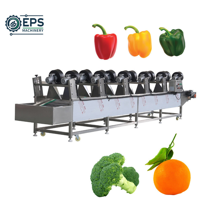Apparecchiature per il lavaggio di insalate di verdura e frutta con capacità 1500 kg/h 110V-380V